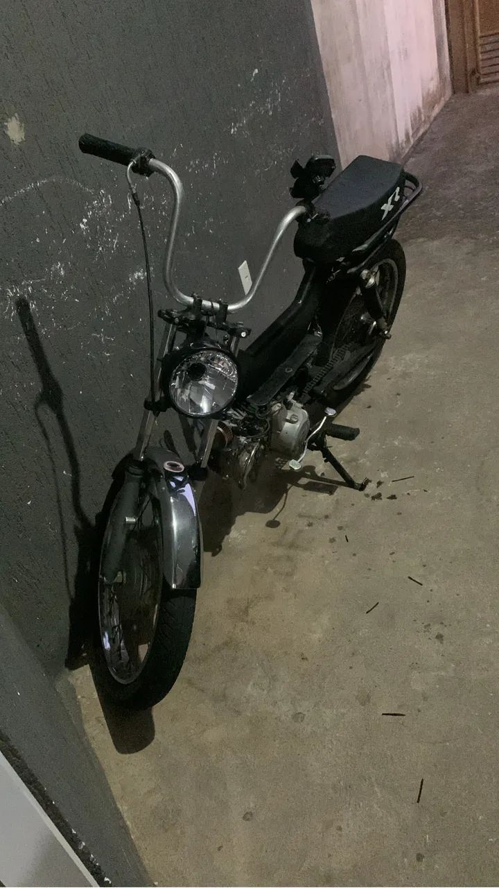 Pantera negra 