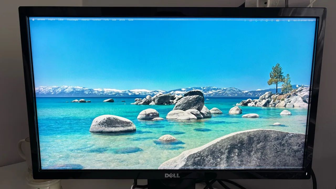 Monitor DELL