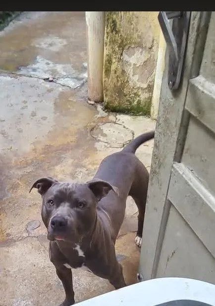 Doação responsável  - Foto 2