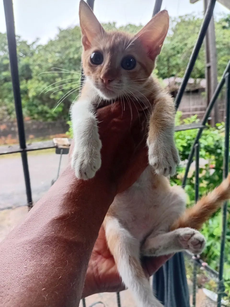 Doação responsável 