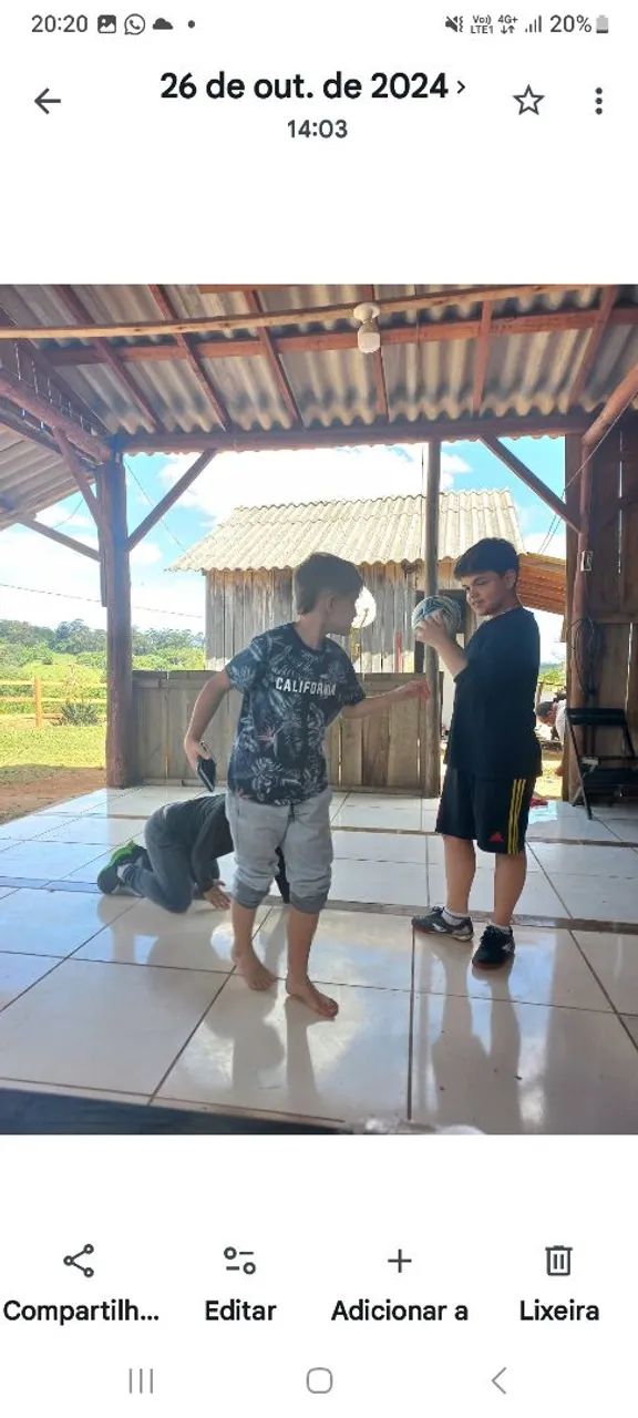Sítio  - Foto 3