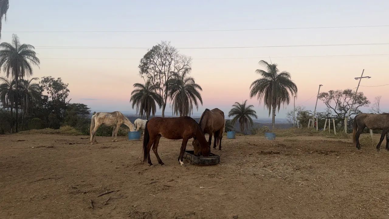 Trabalhador rural 
