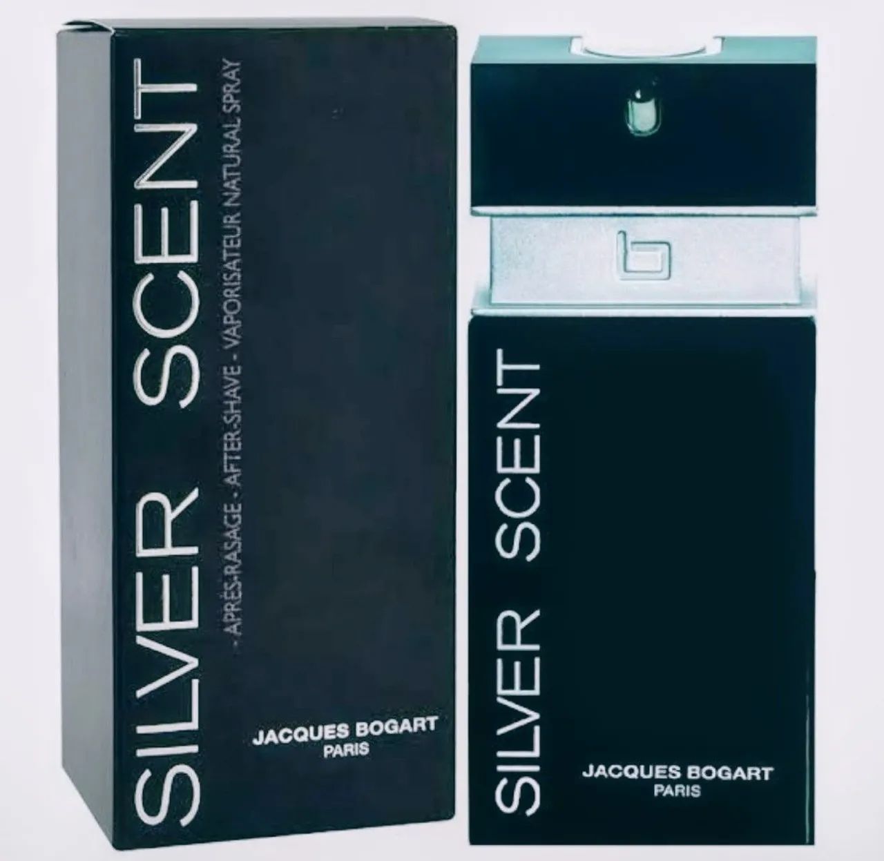 Perfume Silver Scent 100 ML 