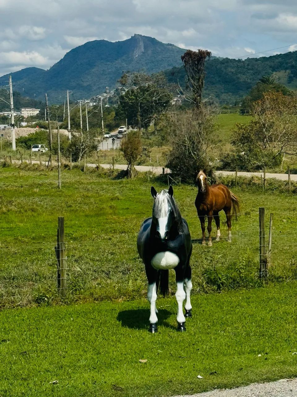 Cavalo de fibra 