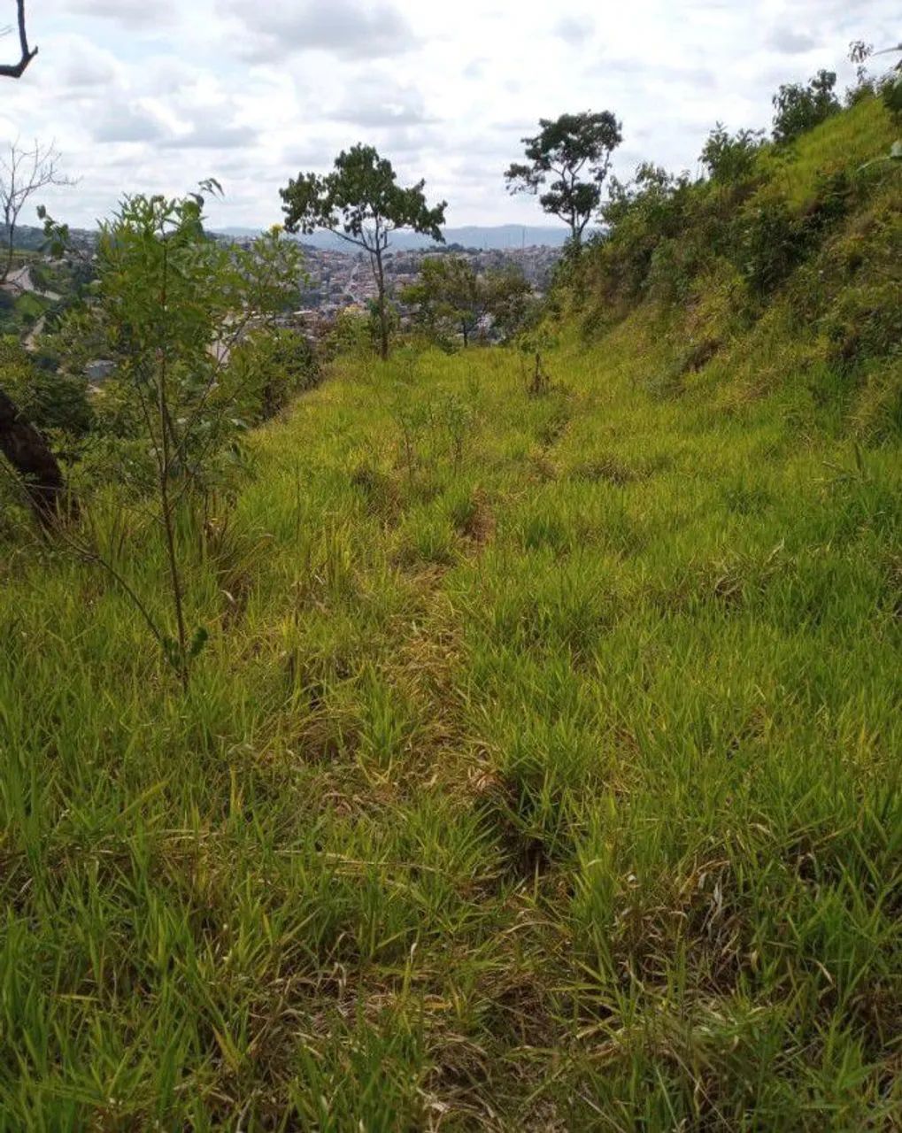 Foto - Campo Limpo Paulista - Outeiro das Paineiras (Botujuru)