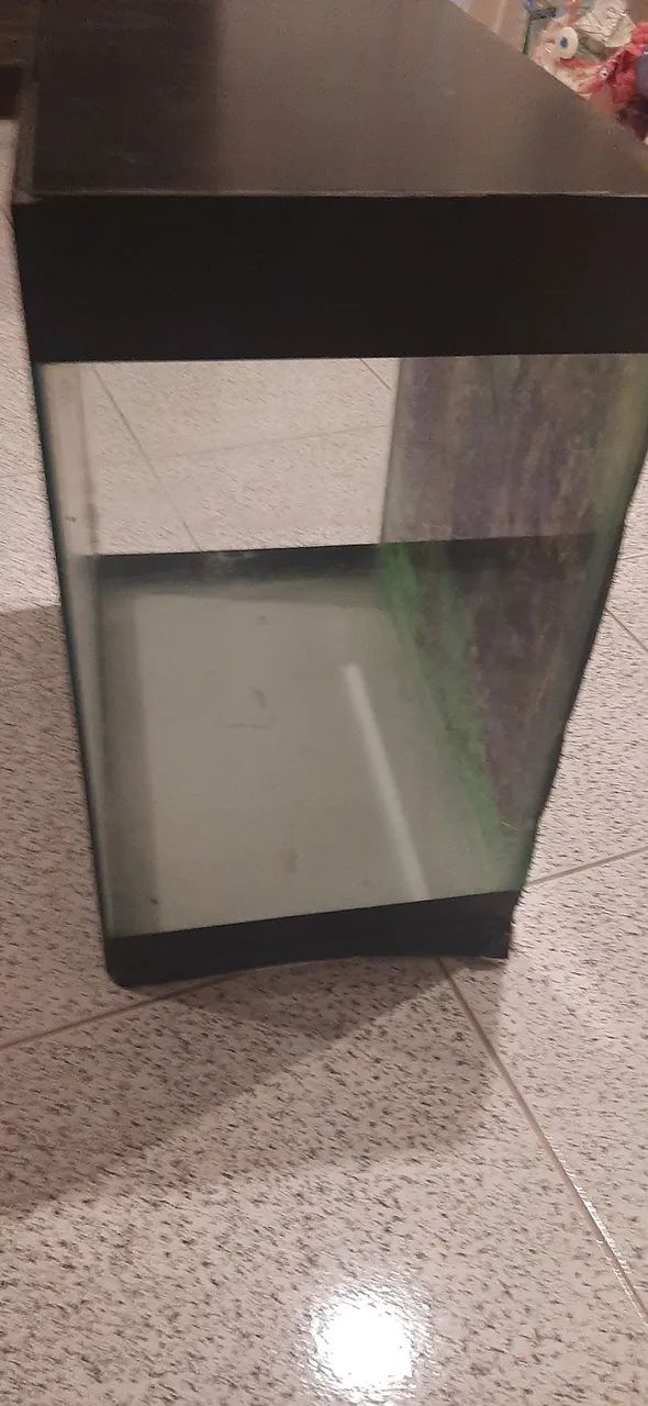 Aquário e  acessórios  - Foto 2
