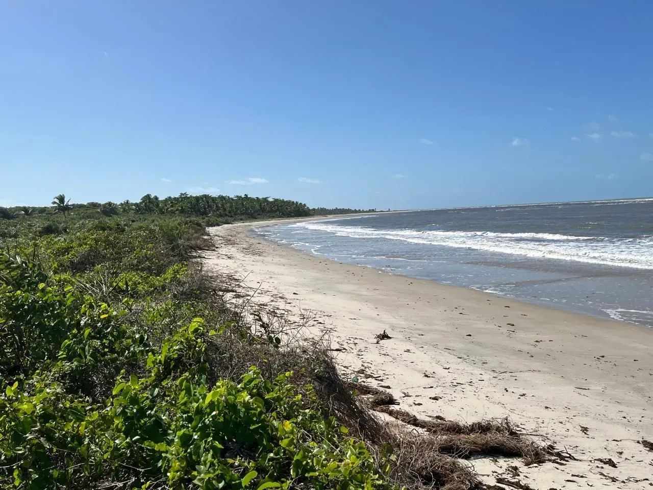 Terreno beira-mar, em Santo André, Bahia - Foto 5