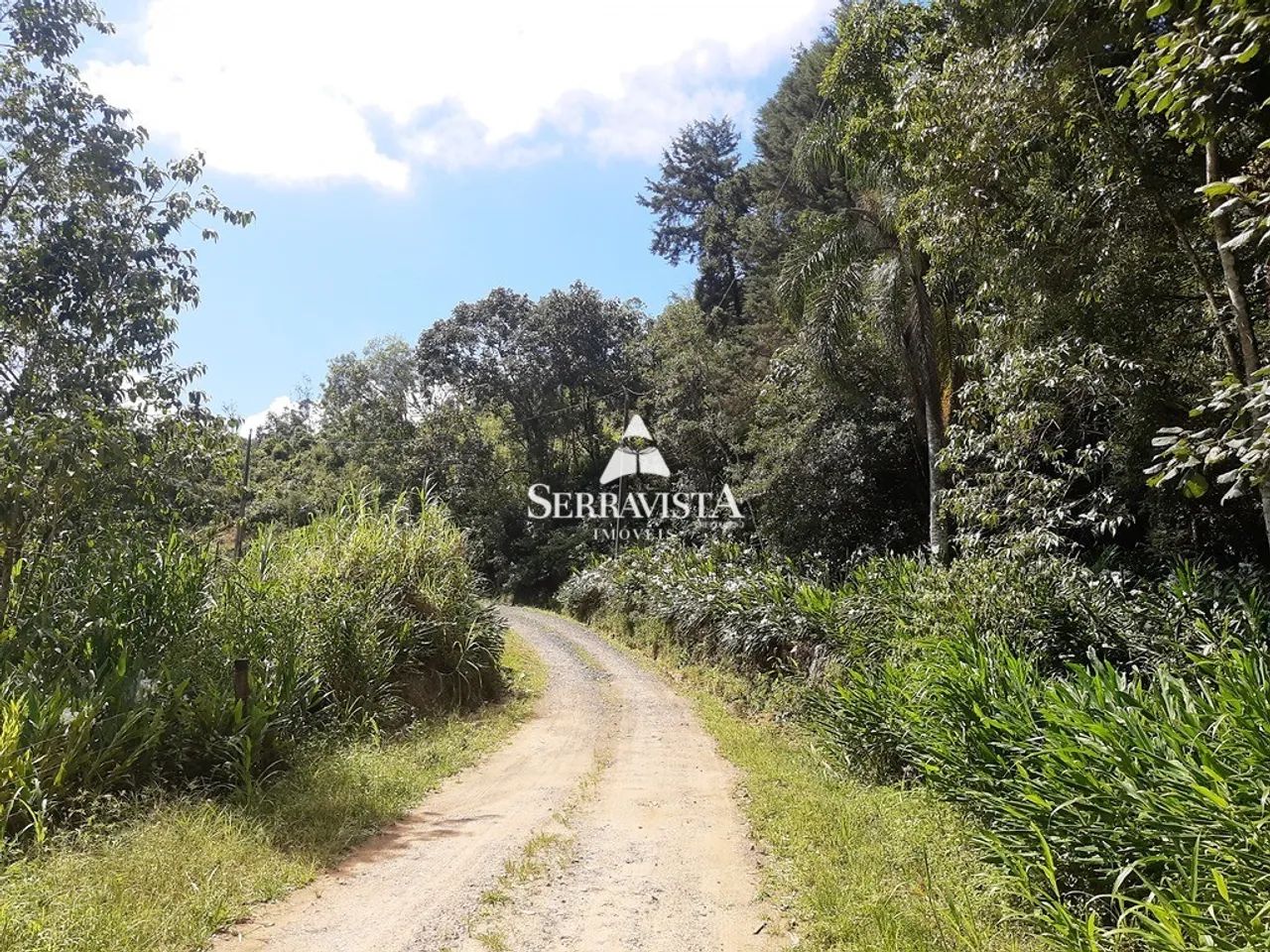 Área para reflorestamento com 57,4 hectares - Foto 2
