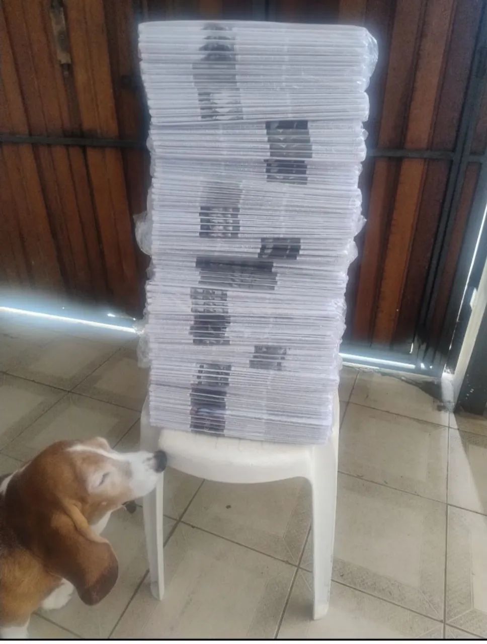 Jornais novos