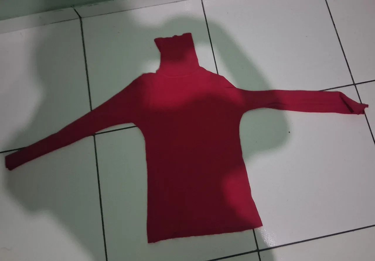 Blusa Vermelha Manga Longa | Moderna e Elegante