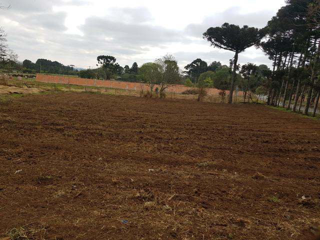 Terreno / área - Foto 5