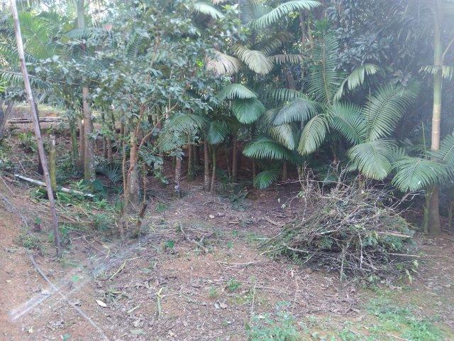 Chácara Em Guaramirim - Foto 11