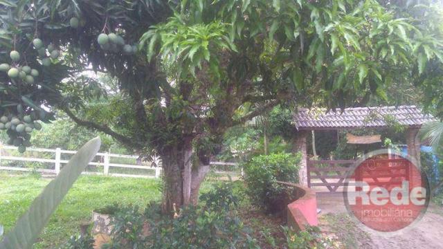 Chácara com 2 dormitórios à venda, 3000 m² por r$ 415.000 - tataúba - caçapava/sp - Foto 2