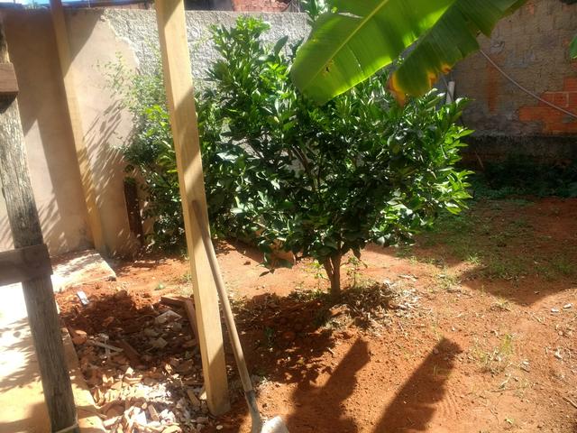 Casa a venda - Foto 4