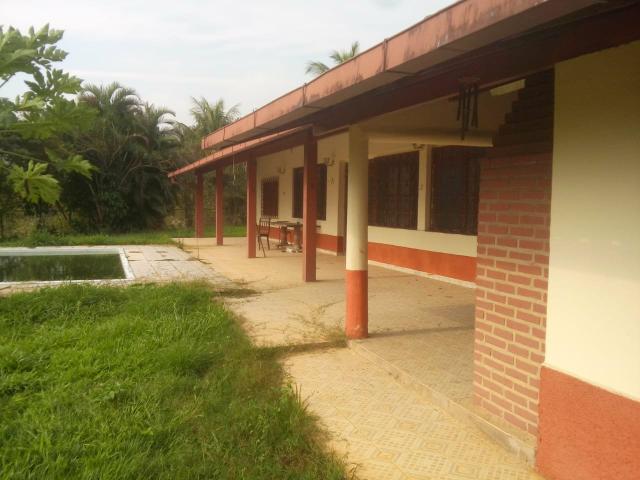 Linda fazenda em Cachoeiras de Macacu 20 alqueires oportunidade!!!! - Foto 13