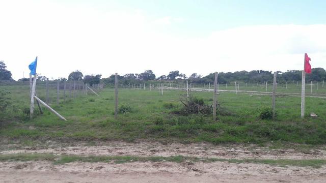 Lotes Liberados para construir!!! - Foto 3
