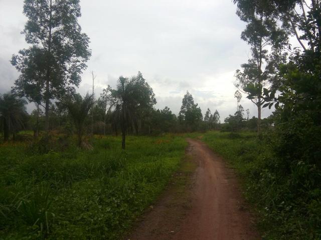 Fazenda 1.370 hectares de Belém PA documentado - Foto 3