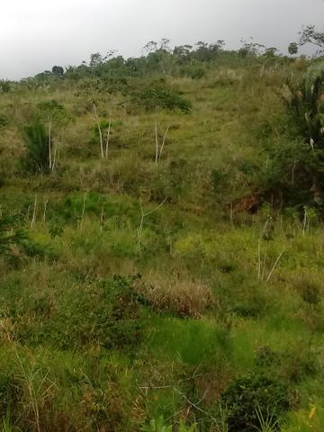 Vendo Fazenda Cachoeira do Meirim - Foto 2