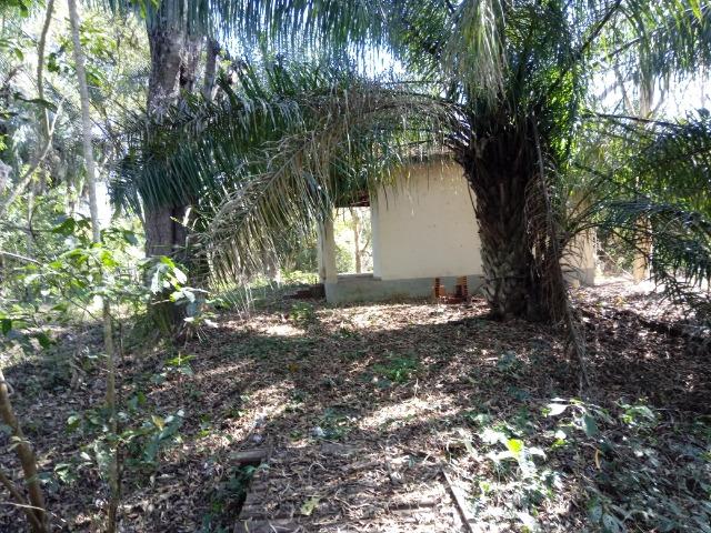 Rancho beira do rio cuiaba - Foto 6