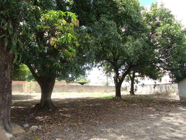 Oportunidade Terreno 1.566m² para locação Bairro São Gonçalo 8564 - Foto 5