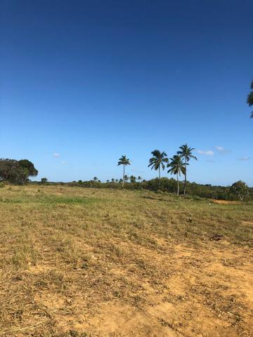 Loteamento Reserva Maragogi - Maragogi, AL - Foto 12