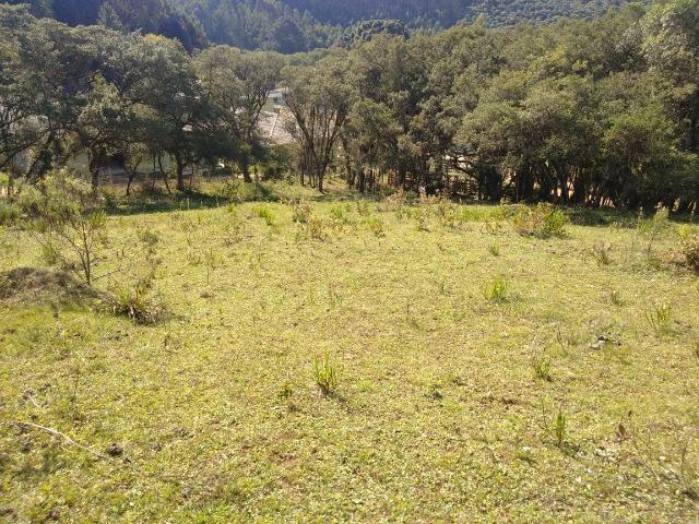 Chácara de 4.300m2 em Bocaiuva do Sul - Foto 6