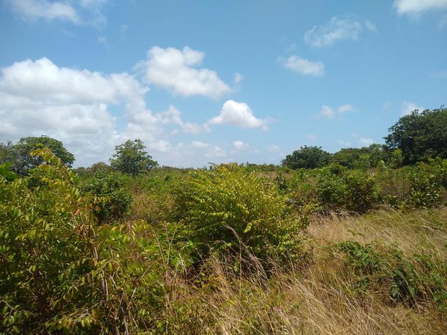 Terreno em Cascavel- Caponga - Foto 3