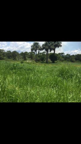 Vendo 650 equitares 85 km de Cuiabá - Foto 4