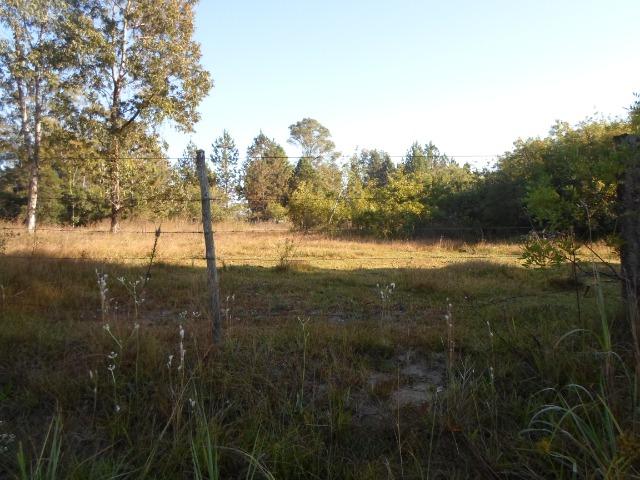 Áreas escrituradas para morar ou sítio desde 600m2 (16mil) até 5000m2 (69mil) - Foto 2