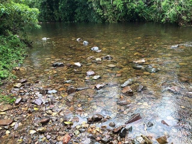 Chácara em São José dos pinhais bairro Castelhanos - Foto 7
