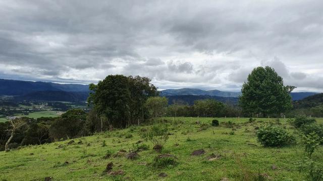 Sitio em Urubici /chácara dentro da cidade/área rural na cidade de Urubici - Foto 10