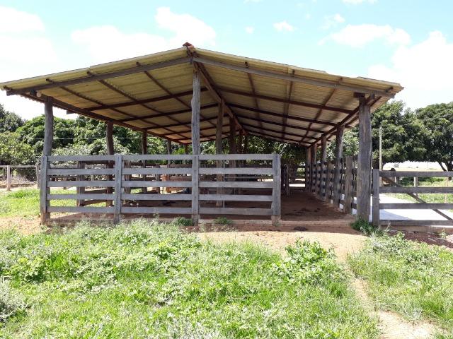 Ótima fazenda 42 Hectares dentro do DF, com água