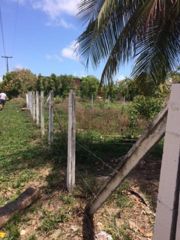 Lote 800m2 no Condomínio Privê Vila Velha em Ilha de Itamaracá Aceito Automóvel - Foto 3