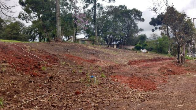 Terreno para Barracões e Oficas Ótima Localização CIC/ BR 277 - Foto 3