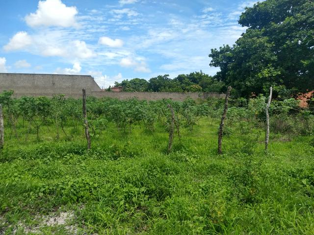 Vendo 2 Lotes em Horizonte CE - Foto 5