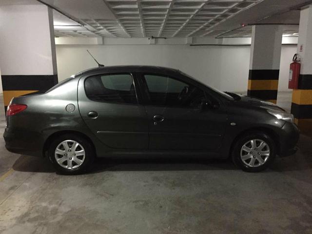 Peugeot 207 Passion 1.4 Flex 2010 Completo