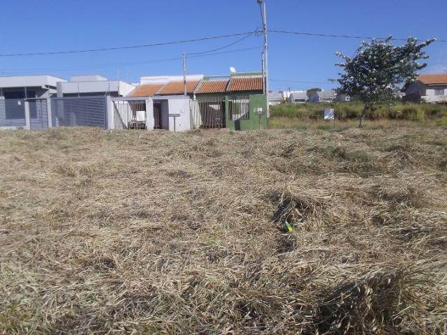 Terreno com 303,79 m² no Jardim Primavera em Apucarana - Foto 2