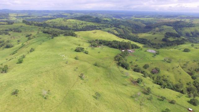 Fazenda - Foto 18