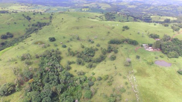 Fazenda - Foto 19