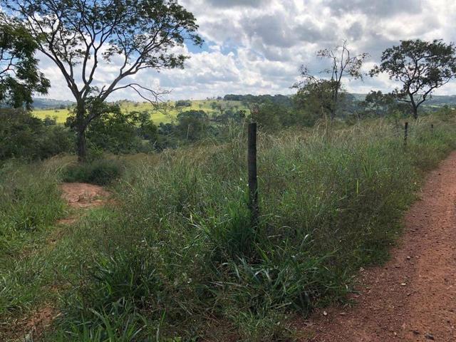 Chácara 20.000 m2 - Foto 6