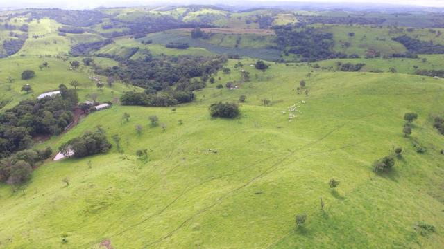 Fazenda