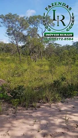 Fazenda 858 Alqueires Dupla Aptidão no Tocantins - Foto 3