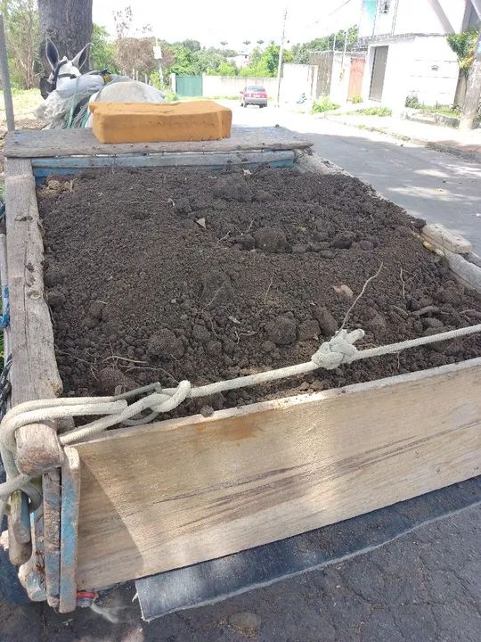 Terra preta  - Foto 2