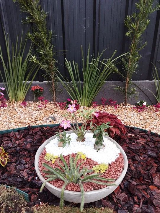 Jardinagem e paisagismo 