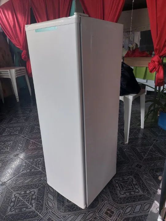 Vendo Freezer Vertical Consul - Foto 2
