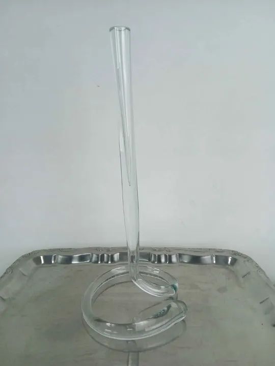 VASO SOLITÁRIO - Foto 5