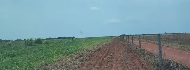 Fazenda de 15.808 ha em Tangará da Serra-MT - Foto 5