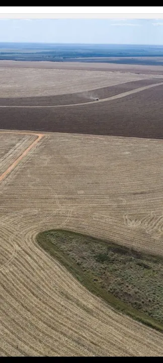 Fazenda De 5.000 hec. nova Maringá MT. Planta 3 mil hect. 150 milhões<br>3.000 hc (plantio)