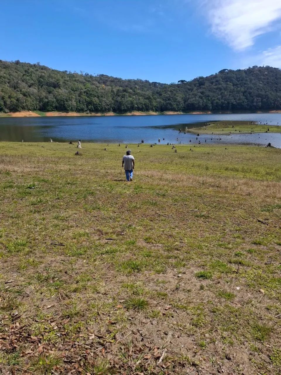 Foto - Colombo - São Dimas