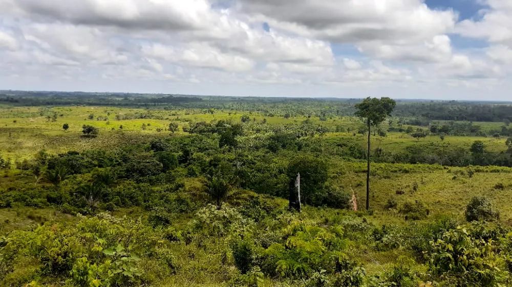 Fazenda para venda tem 1.113 Hectares em Breu Branco. PA. - Foto 3